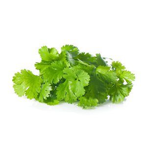 Coriander