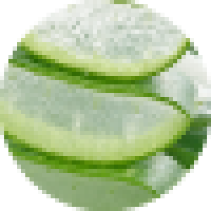 Aloe Vera small