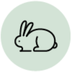 動物実験なし